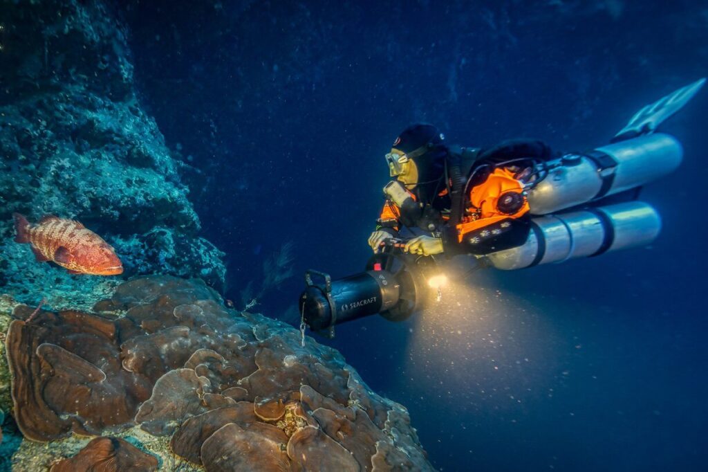 Taucher erkundet Korallen unter Wasser mit Licht.